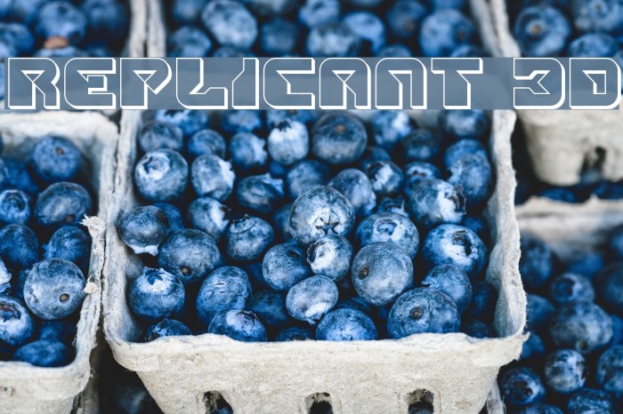 Replicant 3D Example 3