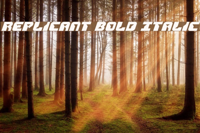 Replicant Bold Italic Example 2
