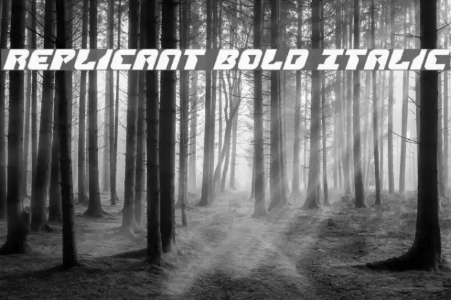 Replicant Bold Italic Font examples