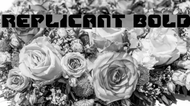 Replicant Bold Font examples