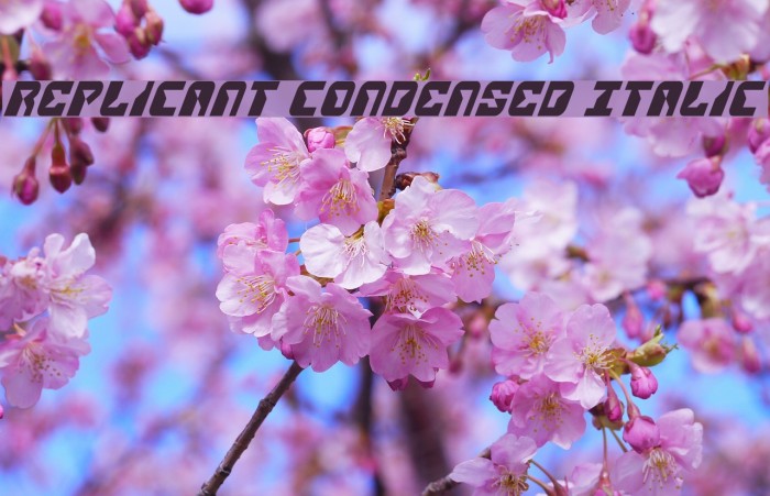 Replicant Condensed Italic Font examples