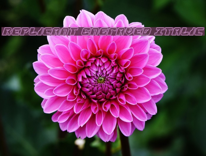 Replicant Engraved Italic Example 2