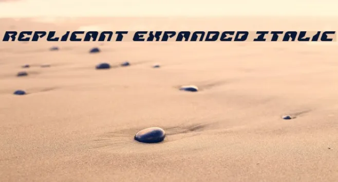 Replicant Expanded Italic Example 2