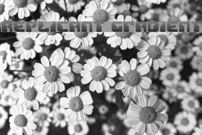 Replicant Gradient Font examples