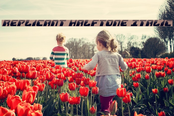 Replicant Halftone Italic Example 1