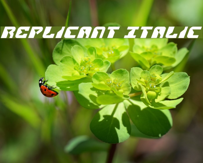 Replicant Italic Font examples