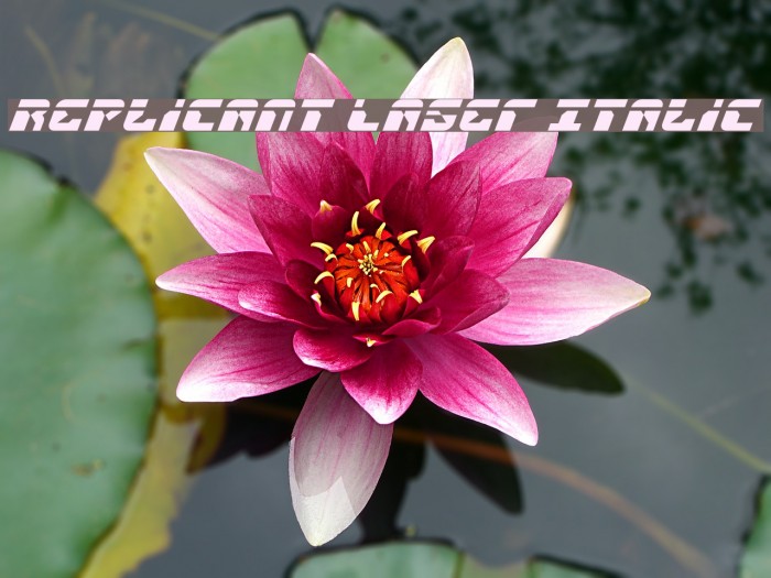 Replicant Laser Italic Fuentes examples