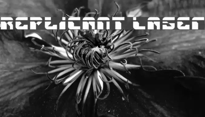 Replicant Laser Fonte examples