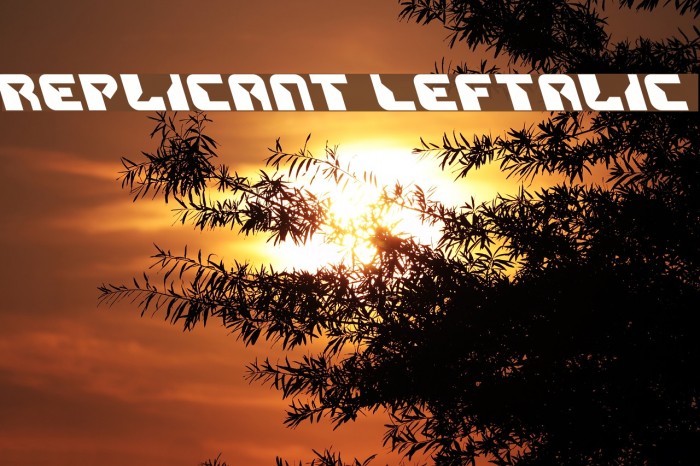 Replicant Leftalic Font examples