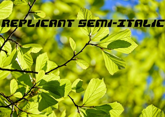 Replicant Semi-Italic Example 3