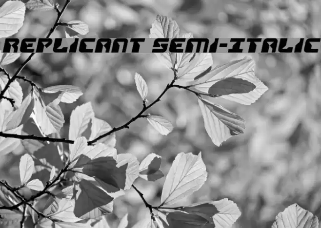 Replicant Semi-Italic Font examples
