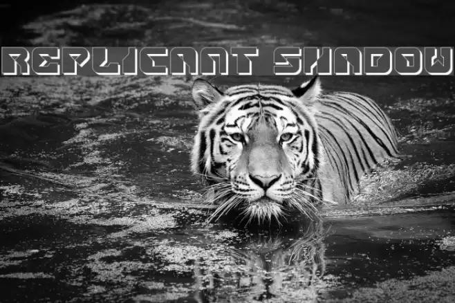 Replicant Shadow Font examples