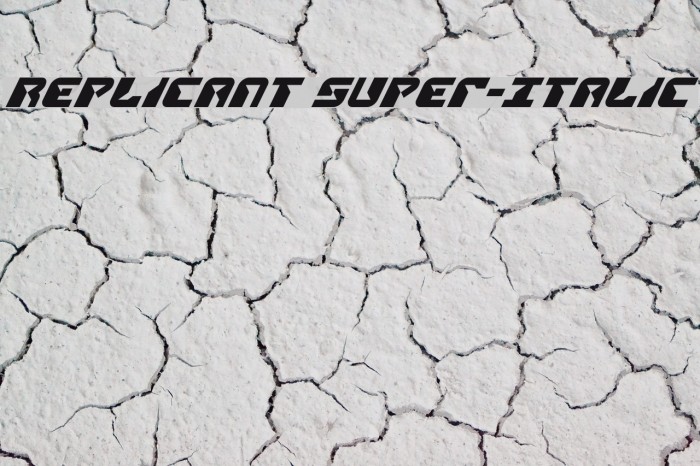 Replicant Super-Italic Example 1