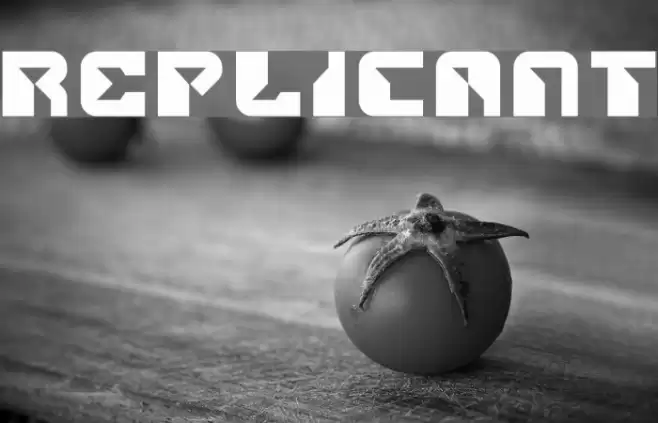 Replicant Font examples