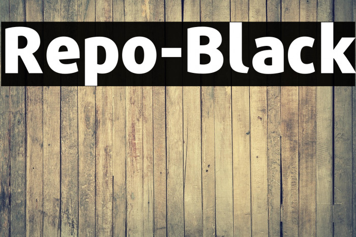Repo-Black Example 1