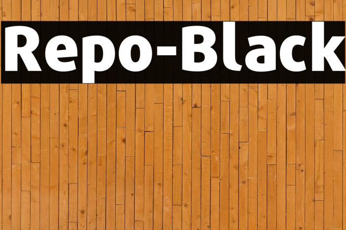 Repo-Black Example 2