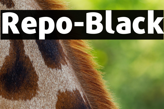 Repo-Black Example 3