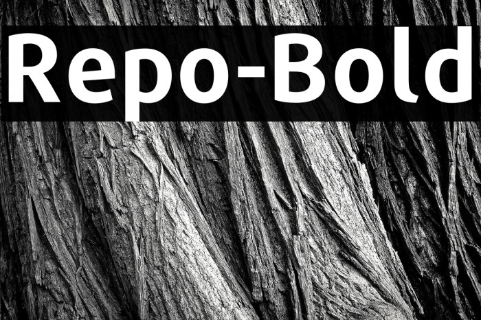 Repo-Bold Example 1