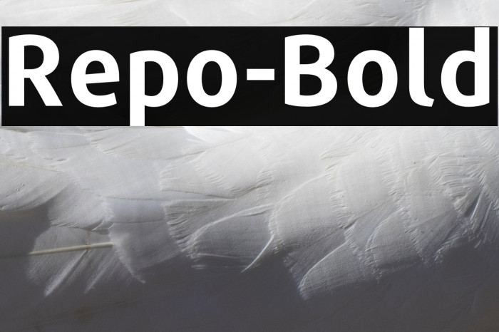 Repo-Bold Example 2