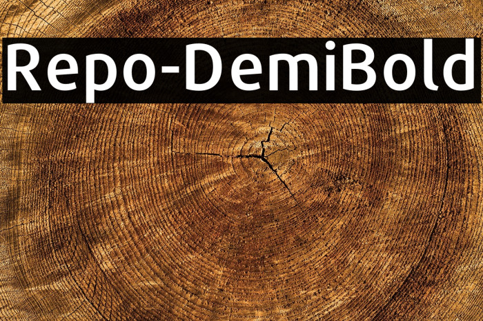 Repo-DemiBold Example 1