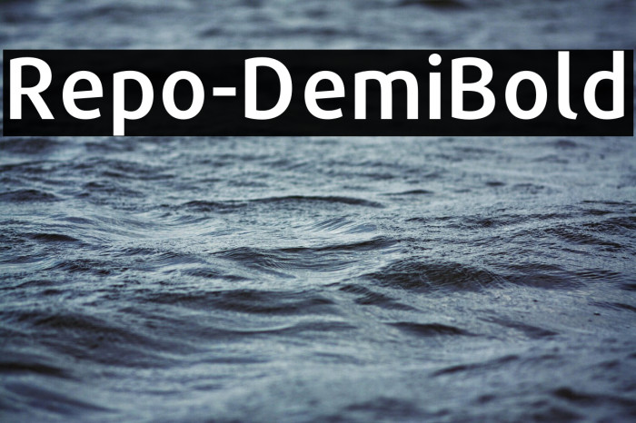 Repo-DemiBold Example 3