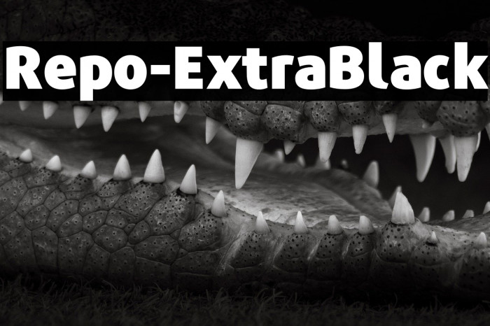 Repo-ExtraBlack Example 2