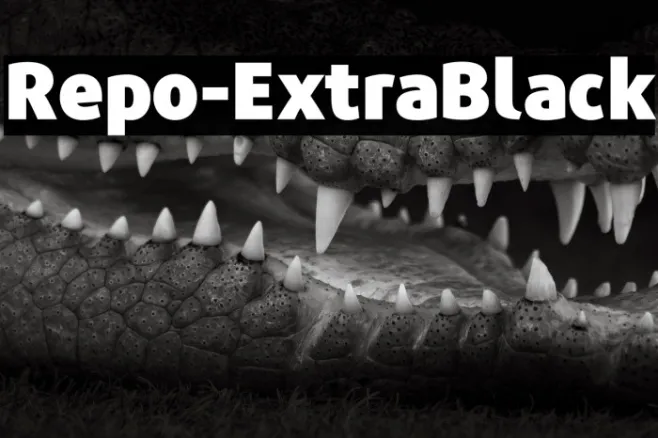 Repo-ExtraBlack Example 2