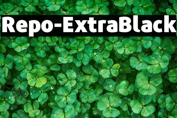 Repo-ExtraBlack Example 3