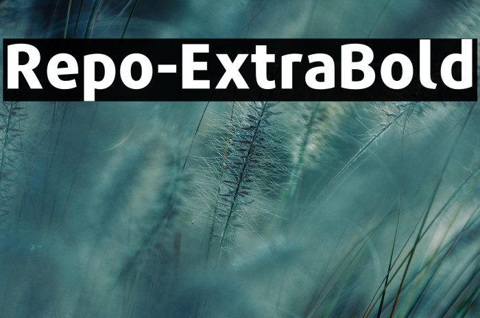 Repo-ExtraBold Example 1