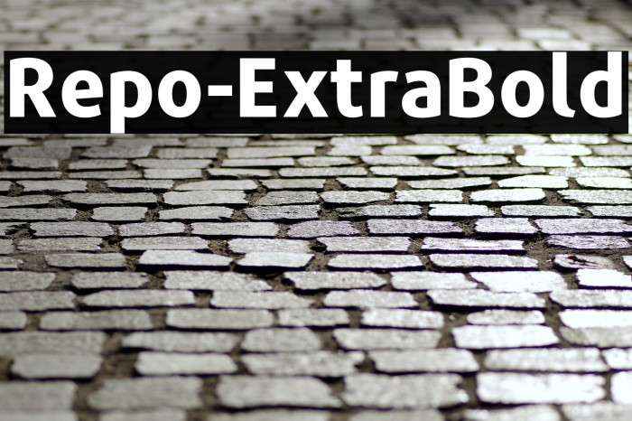 Repo-ExtraBold Example 2