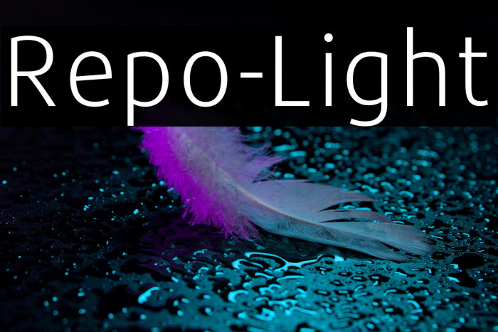 Repo-Light Example 1