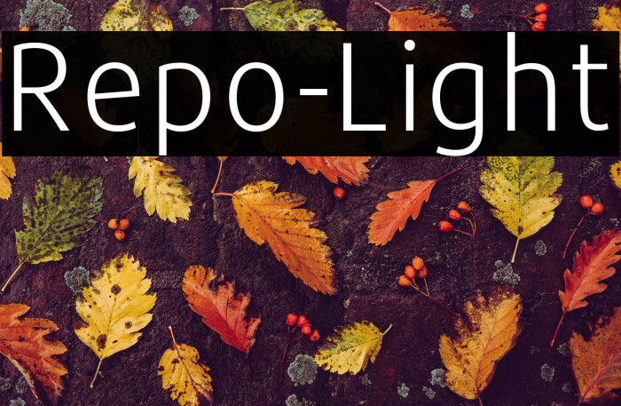 Repo-Light Example 2