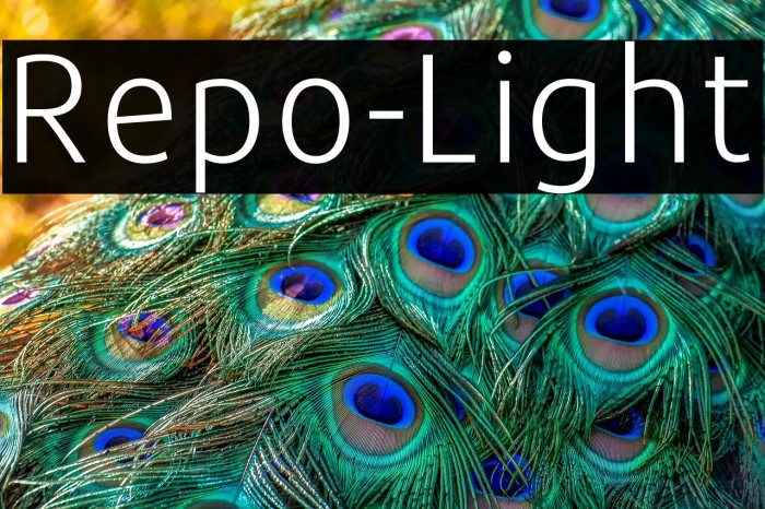 Repo-Light Example 3