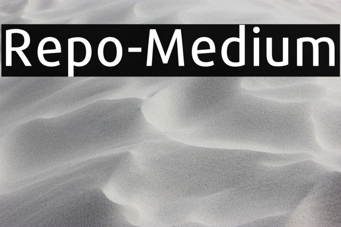 Repo-Medium Example 1