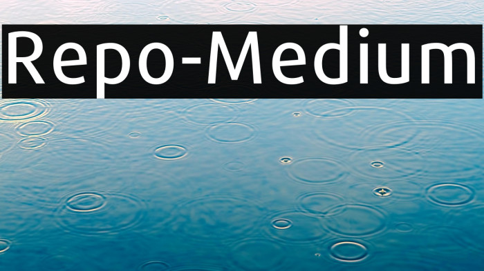 Repo-Medium Example 2