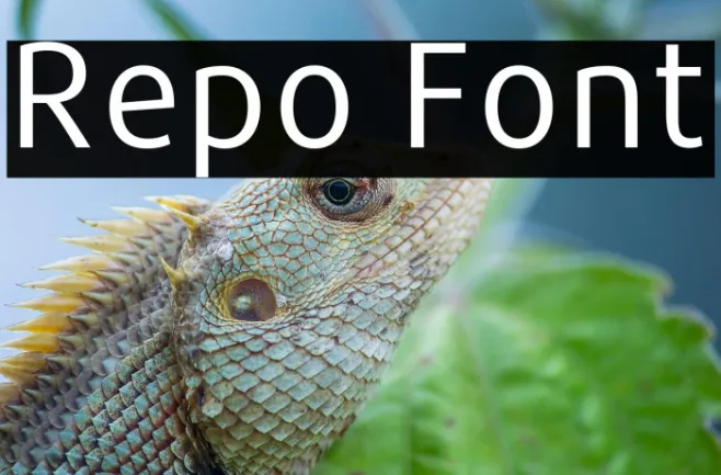 Repo Example 1
