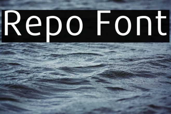 Repo Example 2