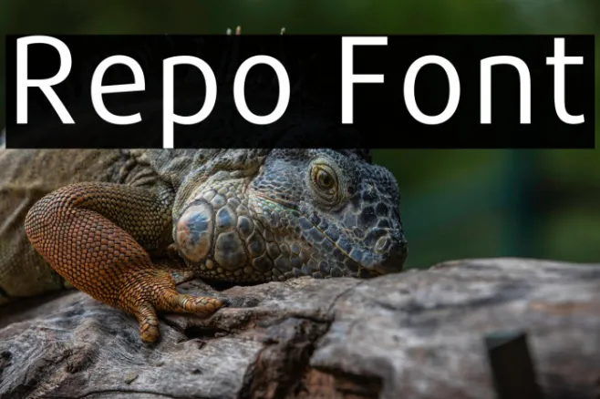 Repo Example 3