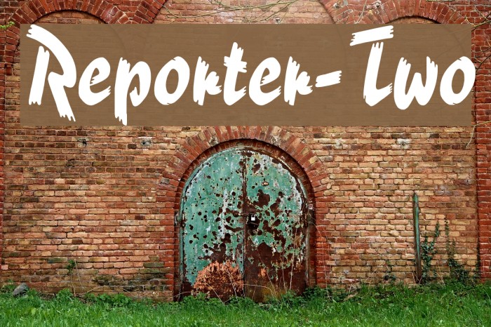 Reporter-Two Polices examples