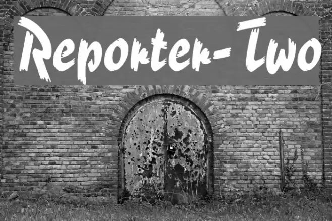 Reporter-Two Polices examples