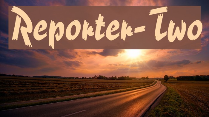 Reporter-Two Polices examples