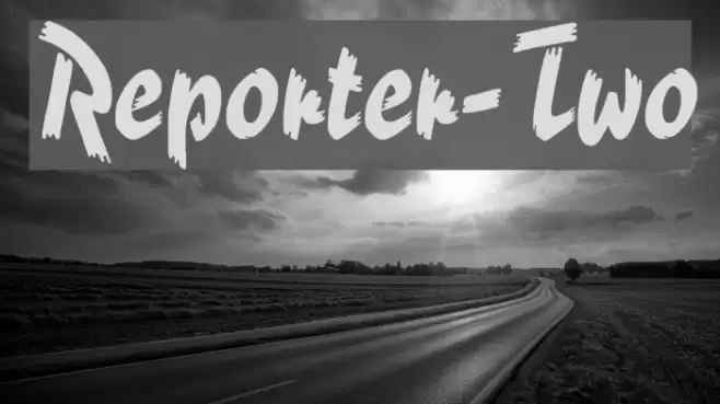 Reporter-Two Polices examples