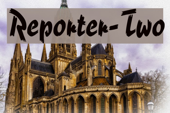 Reporter-Two Polices examples