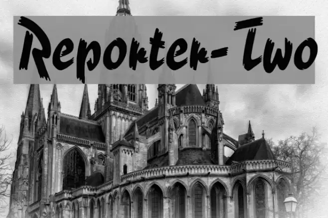 Reporter-Two Polices examples