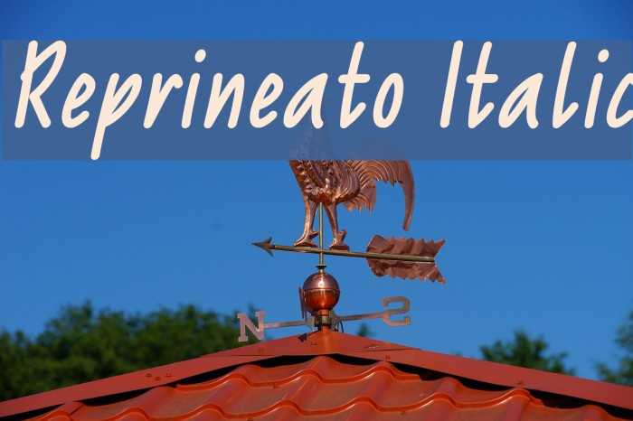 Reprineato Italic Font examples