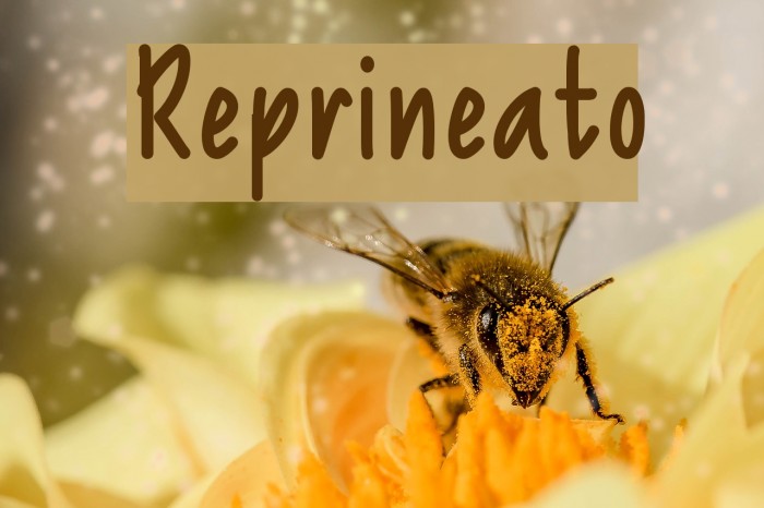 Reprineato Font examples
