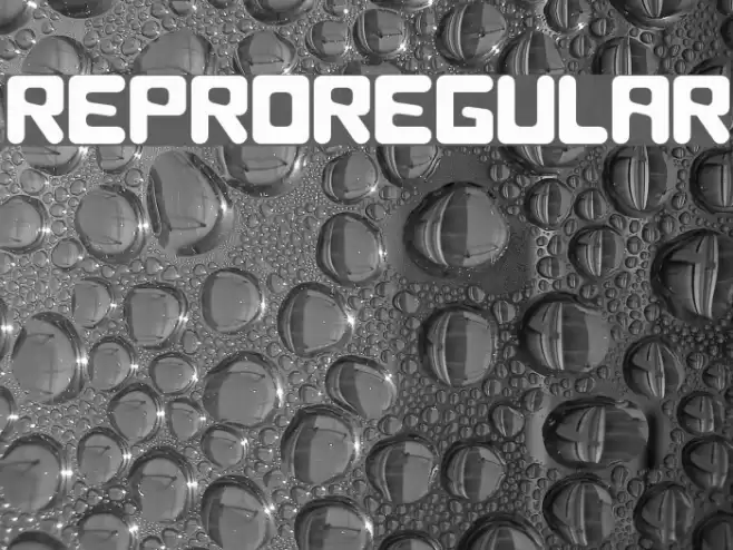 Repro89-Regular Font examples