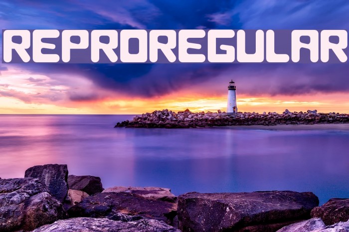 Repro89-Regular Font examples
