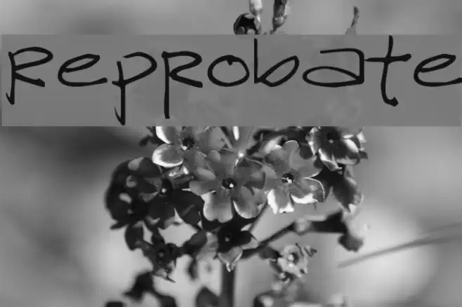 Reprobate Font examples