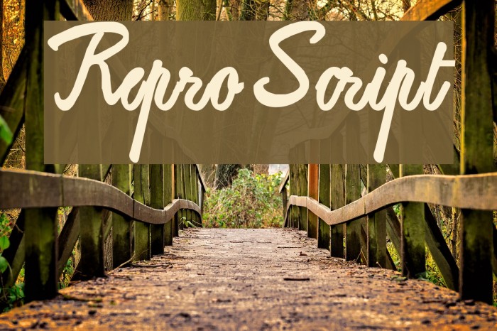 ReproxScript Font examples